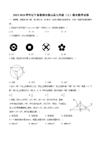 2023-2024学年辽宁省盘锦市盘山县九年级（上）期末数学试卷（含解析）