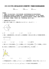 2023-2024学年上海市金山区名校九年级数学第一学期期末质量跟踪监视试题含答案