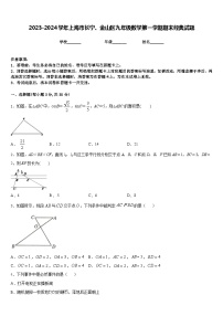 2023-2024学年上海市长宁、金山区九年级数学第一学期期末经典试题含答案