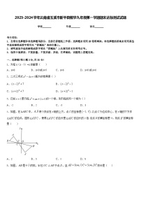 2023-2024学年云南省玉溪市新平县数学九年级第一学期期末达标测试试题含答案