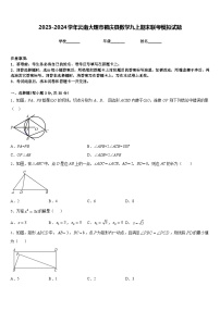 2023-2024学年云南大理市鹤庆县数学九上期末联考模拟试题含答案