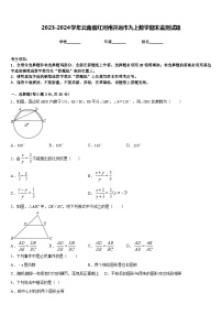 2023-2024学年云南省红河州开远市九上数学期末监测试题含答案