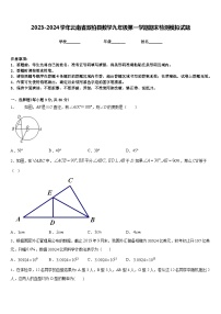 2023-2024学年云南省双柏县数学九年级第一学期期末检测模拟试题含答案