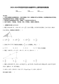 2023-2024学年北京市北京大附属中学九上数学期末经典试题含答案