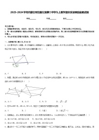 2023-2024学年内蒙古阿拉善左旗第三中学九上数学期末质量跟踪监视试题含答案