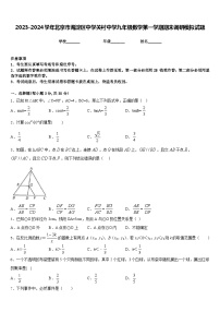 2023-2024学年北京市海淀区中学关村中学九年级数学第一学期期末调研模拟试题含答案