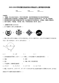 2023-2024学年内蒙古自治区包头市青山区九上数学期末统考试题含答案