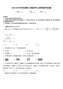 2023-2024学年北京理工大附属中学九上数学期末考试试题含答案