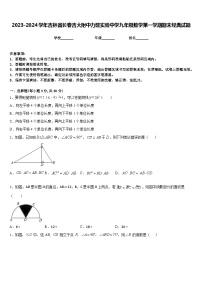 2023-2024学年吉林省长春吉大附中力旺实验中学九年级数学第一学期期末经典试题含答案