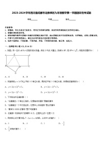 2023-2024学年四川省成都市龙泉驿区九年级数学第一学期期末统考试题含答案