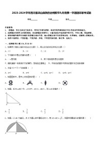 2023-2024学年四川省凉山彝族自治州数学九年级第一学期期末联考试题含答案