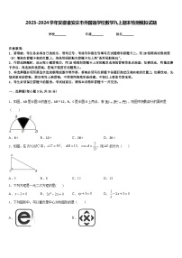 2023-2024学年安徽省安庆市外国语学校数学九上期末检测模拟试题含答案