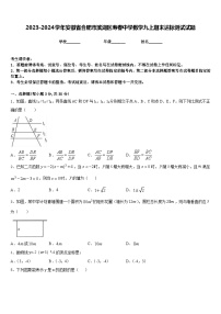 2023-2024学年安徽省合肥市滨湖区寿春中学数学九上期末达标测试试题含答案