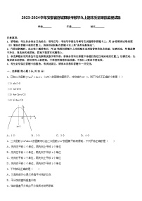 2023-2024学年安徽省舒城县联考数学九上期末质量跟踪监视试题含答案