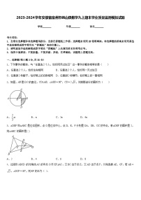 2023-2024学年安徽省宿州市砀山县数学九上期末学业质量监测模拟试题含答案