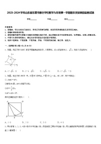 2023-2024学年山东省东营市部分学校数学九年级第一学期期末质量跟踪监视试题含答案