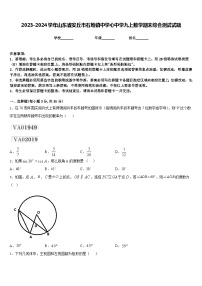 2023-2024学年山东省安丘市石堆镇中学心中学九上数学期末综合测试试题含答案