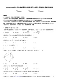 2023-2024学年山东省德州市经开区数学九年级第一学期期末质量检测试题含答案