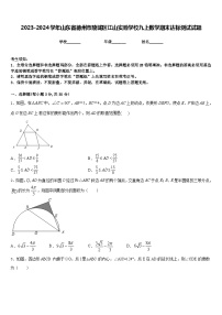 2023-2024学年山东省德州市陵城区江山实验学校九上数学期末达标测试试题含答案