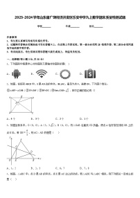 2023-2024学年山东省广饶经济开发区乐安中学九上数学期末质量检测试题含答案