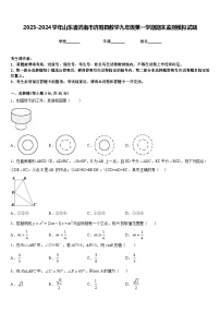 2023-2024学年山东省济南市济阳县数学九年级第一学期期末监测模拟试题含答案