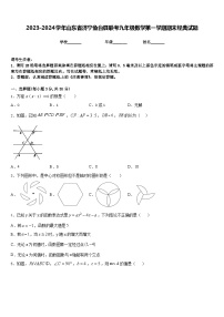 2023-2024学年山东省济宁鱼台县联考九年级数学第一学期期末经典试题含答案