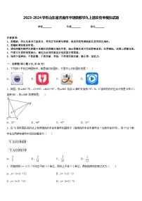 2023-2024学年山东省济南市平阴县数学九上期末统考模拟试题含答案