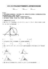 2023-2024学年山东省济宁邹城县联考九上数学期末综合测试试题含答案