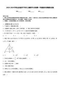 2023-2024学年山东省济宁市坟上县数学九年级第一学期期末经典模拟试题含答案