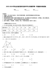 2023-2024学年山东省乐陵市实验中学九年级数学第一学期期末经典试题含答案