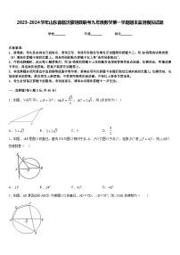 2023-2024学年山东省临沂蒙阴县联考九年级数学第一学期期末监测模拟试题含答案