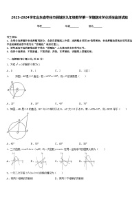 2023-2024学年山东省枣庄市薛城区九年级数学第一学期期末学业质量监测试题含答案