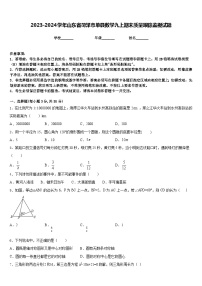 2023-2024学年山东省菏泽市单县数学九上期末质量跟踪监视试题含答案