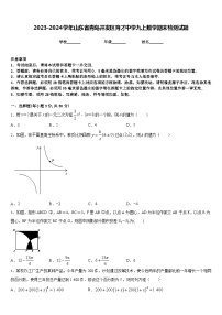 2023-2024学年山东省青岛开发区育才中学九上数学期末检测试题含答案