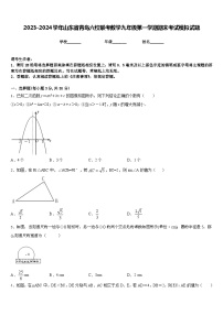 2023-2024学年山东省青岛六校联考数学九年级第一学期期末考试模拟试题含答案