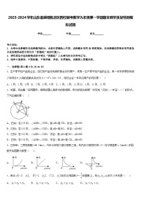 2023-2024学年山东省淄博张店区四校联考数学九年级第一学期期末教学质量检测模拟试题含答案