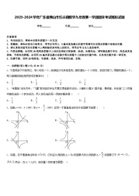 2023-2024学年广东省佛山市乐从镇数学九年级第一学期期末考试模拟试题含答案