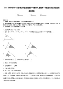 2023-2024学年广东省佛山市顺德区容桂中学数学九年级第一学期期末质量跟踪监视模拟试题含答案