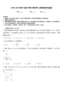 2023-2024学年广东省广州市广雅中学九上数学期末考试试题含答案