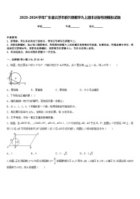 2023-2024学年广东省云浮市新兴县数学九上期末达标检测模拟试题含答案