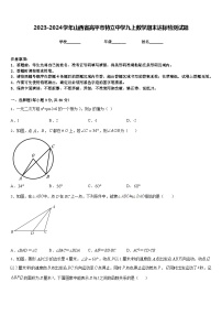 2023-2024学年山西省高平市特立中学九上数学期末达标检测试题含答案