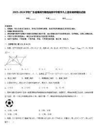 2023-2024学年广东省惠州市惠阳高级中学数学九上期末调研模拟试题含答案