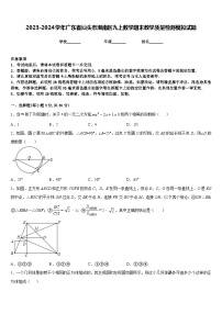 2023-2024学年广东省汕头市潮南区九上数学期末教学质量检测模拟试题含答案