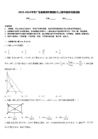 2023-2024学年广东省惠州市惠阳区九上数学期末经典试题含答案