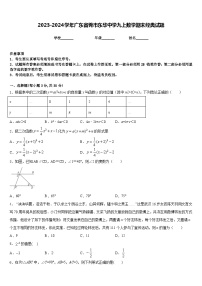 2023-2024学年广东省莞市东华中学九上数学期末经典试题含答案