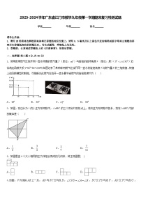 2023-2024学年广东省江门市数学九年级第一学期期末复习检测试题含答案