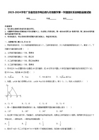 2023-2024学年广东省茂名市电白县九年级数学第一学期期末质量跟踪监视试题含答案