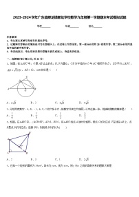 2023-2024学年广东省那龙镇那龙学校数学九年级第一学期期末考试模拟试题含答案