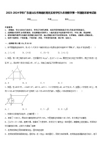 2023-2024学年广东省汕头市潮南区阳光实验学校九年级数学第一学期期末联考试题含答案