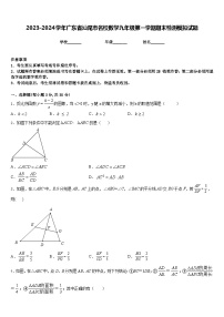 2023-2024学年广东省汕尾市名校数学九年级第一学期期末检测模拟试题含答案